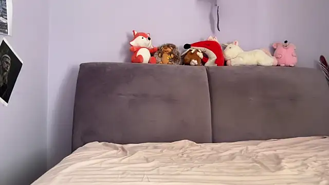 Oksi494 webcam