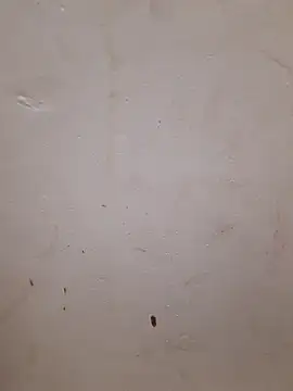 sexy_shital webcam