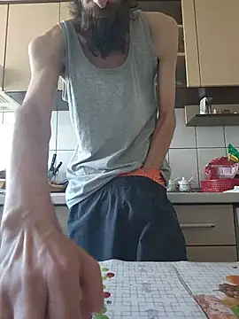 vulpe8400 webcam