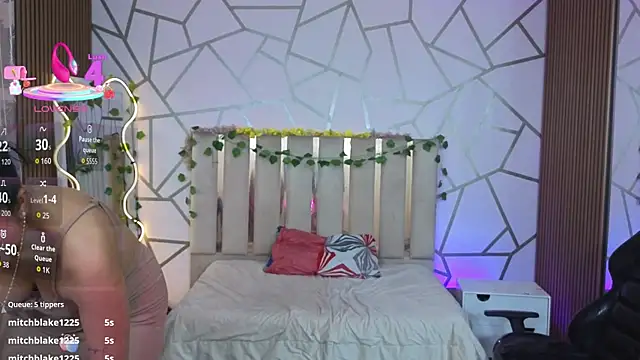 casse_tay webcam