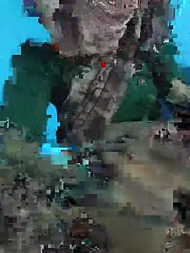 Gyoti7070 webcam