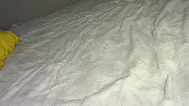 OdetteTrentinella webcam