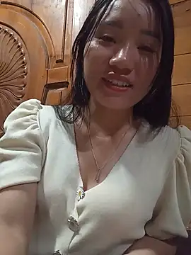 Td3di webcam