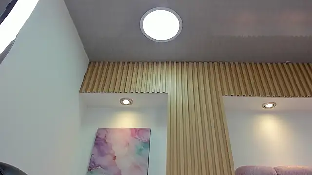 1Sloppy_Fox4 webcam