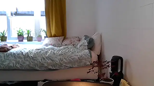 belgianshantie webcam