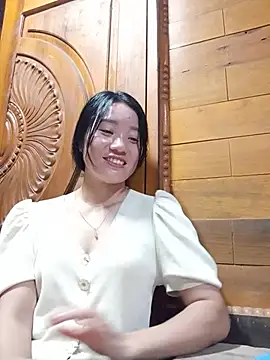 Td3di webcam