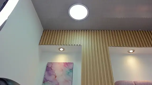 1Sloppy_Fox4 webcam