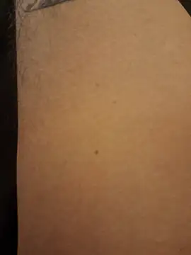 Icepappi webcam
