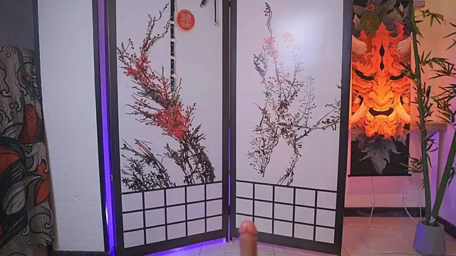 Greiz_SubKimura webcam
