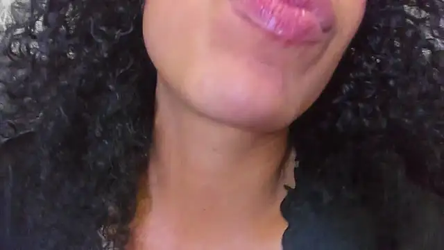 Evaalux webcam