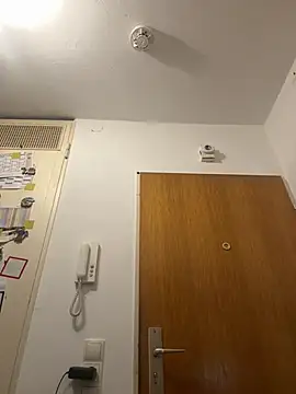 Toyjungee webcam