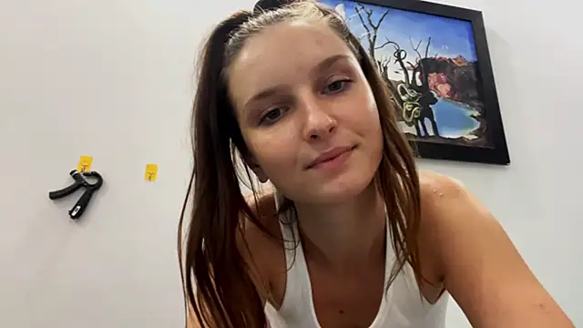 VanMendrin webcam