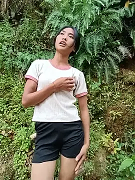 Hoa-tuylip