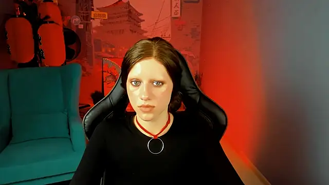 LidaDarknet webcam