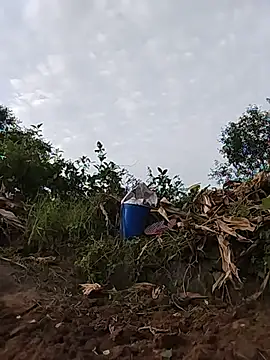 Buong-binh webcam