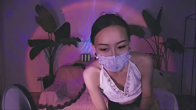 542182 webcam