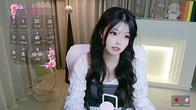 DAIDAI-520 webcam