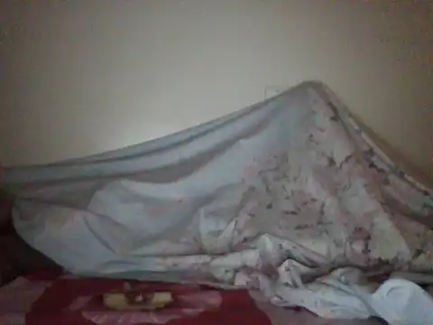 DADDYS_shuga webcam