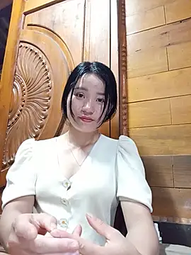 Td3di webcam