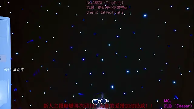 CCTW-100 webcam
