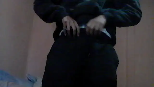 gemini_loops webcam