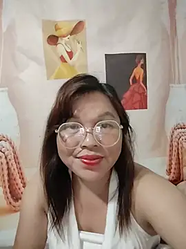 Cover-baa webcam