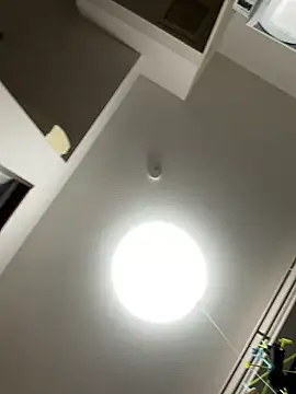 kumadamon webcam