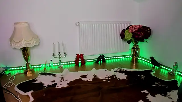 ViciousSiren webcam