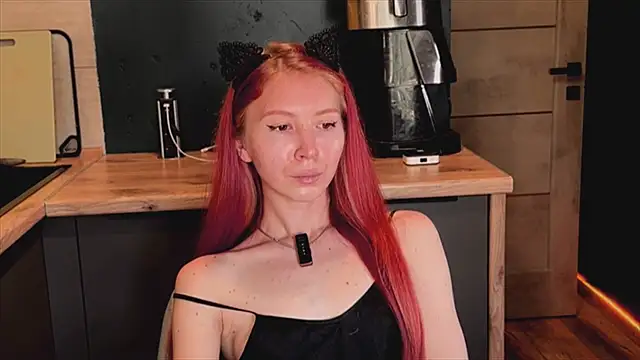 izi-fox webcam