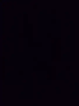 vidmaka webcam