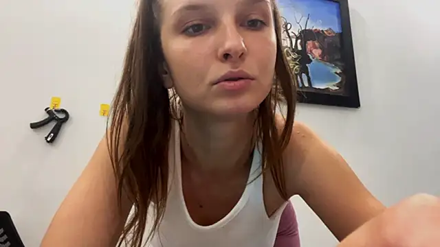VanMendrin webcam