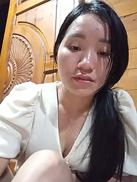 Td3di webcam