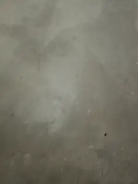 healthyguy175 (M young) - Shower show