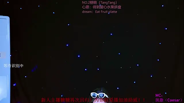CCTW-100 webcam