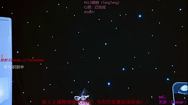 CCTW-100 webcam