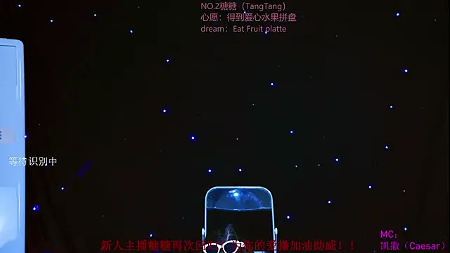 CCTW-100 webcam