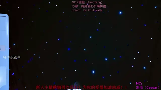 CCTW-100 webcam