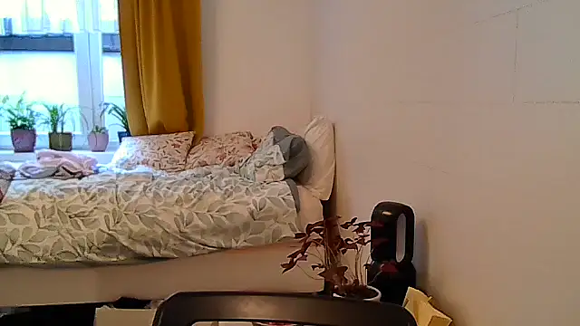 belgianshantie webcam