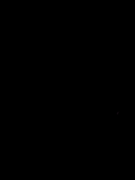 Baese-lsedd webcam