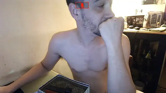 Hgay6935 webcam
