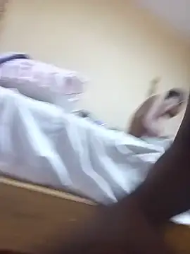CRIBANN webcam