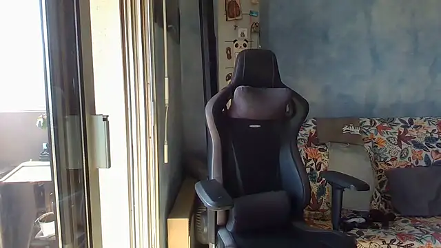 panda_06200 webcam