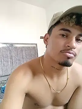 ARES_DAM webcam