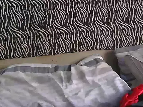 crazypervet webcam