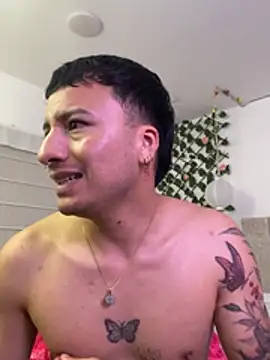 SirDamian webcam
