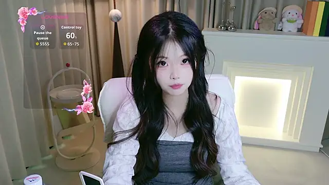 DAIDAI-520 webcam