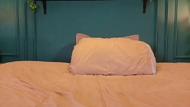 ale_cam webcam