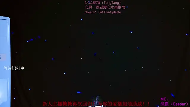 CCTW-100 webcam