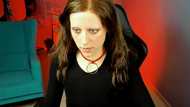 LidaDarknet webcam