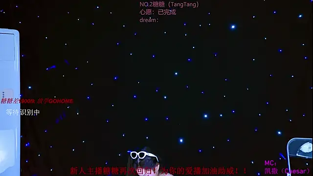 CCTW-100 webcam